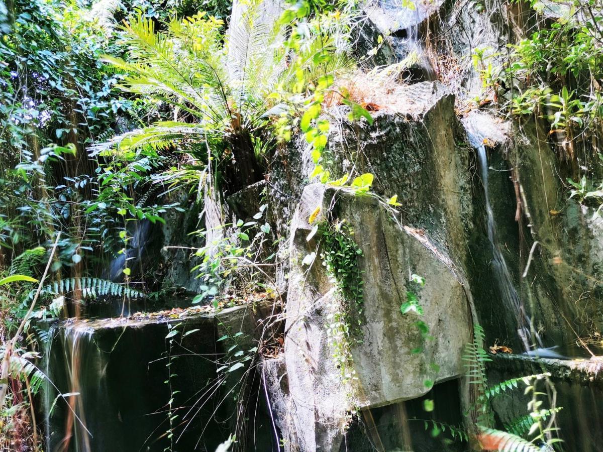 Oyo 604 Ruen Mai Horm Resort Trang Kültér fotó